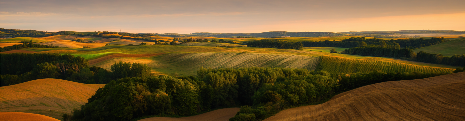 Header Unione Comunale dei Colli